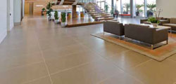 Custom Delivers On 2010 TCAA Commercial Project Of The Year